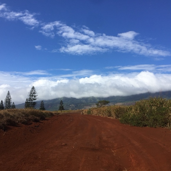 Meet your Posher, M - Picture 16 of 16